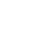 Wastegates